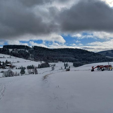 Schwarzwaldstube Apartamento Titisee-Neustadt Exterior foto